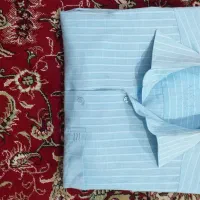 پیرهن مردانه|لباس|خوی, |دیوار