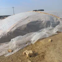 ذرت علوفه بسته ای|لوازم جانبی حیوانات|کنگاور, |دیوار