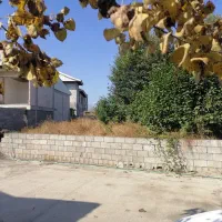 ۲۹۷ متر زمین مسکونی با سند تک برگ پره سر خلخالیان|فروش زمین و ملک کلنگی|پرهسر, |دیوار