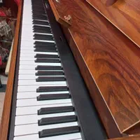 پیانو مبله bx20|پیانو، کیبورد، آکاردئون|تهران, درختی|دیوار