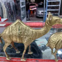 قدیمی|کلکسیون اشیاء عتیقه|خرم‌آباد, |دیوار