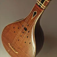 ساز حرفه ای