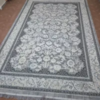 فرش 6 متری نو|فرش|اصفهان, کوی میلاد|دیوار