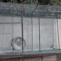 قفس پرنده|لوازم جانبی حیوانات|آبدانان, |دیوار