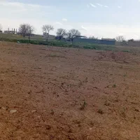 زمین مناسب سرمایه گذاری|فروش زمین و ملک کلنگی|صائین قلعه, |دیوار