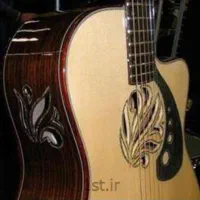 نوازنده گیتار