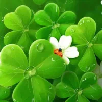 سلام فروشنده خانم