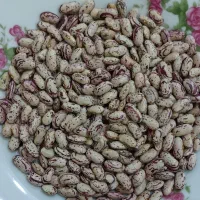 محصولات محلی لنجون|خوردنی و آشامیدنی|ایذه, |دیوار