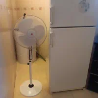 پنکه