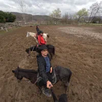 آموزش سوارکاری و مربیگری