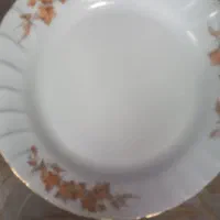 بشقاب برگ گل پاییزی   ۱۰۰   همه چیز داریم بیا تو