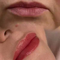 جذب مدل بصورت محدود برای اجرای تکنیک فیبروزشیدینگ
