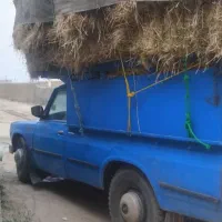 پرس علفی چین اول