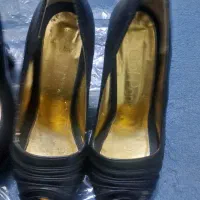 کفش مجلسی|کیف، کفش، کمربند|نکا, |دیوار