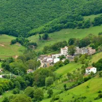 راهنمایی میکنم