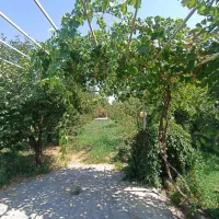 فروش باغ در فیرورق نزدیک جاده|فروش زمین و ملک کلنگی|فیرورق, |دیوار