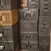 سبدمیوه همه کاره