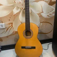 گیتار پارسیm2|گیتار، بیس، امپلیفایر|سبزوار, قصبه اب یمین|دیوار