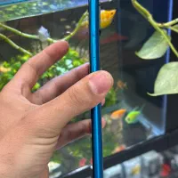 redmi9a|موبایل|شیراز, زند|دیوار