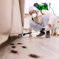 سمپاشی تضمینی انواع آفات سم پاشی سوسک کنه ساس
