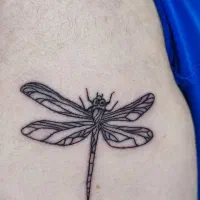 خدمات زیبایی|خدمات آرایشگری و زیبایی|رشت, پاره بیجار|دیوار