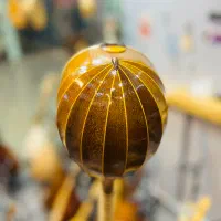 سه تار حرفه ای