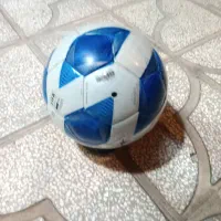 توپ فوتبال|ورزشهای توپی|فردوس (خراسان), |دیوار