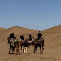 تورVlPکویر|تور و چارتر|تهران, زعفرانیه|دیوار