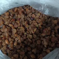 کشمش اشعاری|خوردنی و آشامیدنی|شیروان (خراسان), |دیوار
