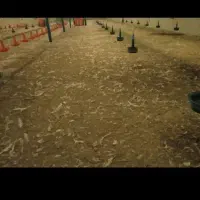 حدود 7تن کود مرغ درموزری