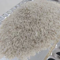 برنج طارم هاشمی (درجه یک گیلان)|خوردنی و آشامیدنی|ساری, |دیوار