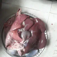 نربره گوسفپتد