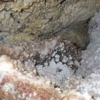 زمین کارگاهی متراژ 1500متر