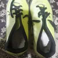 کفش نو فروشی