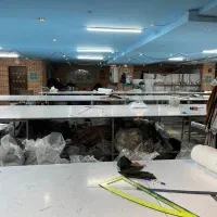 بیرون بر مزدی دوز