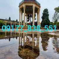9177838551