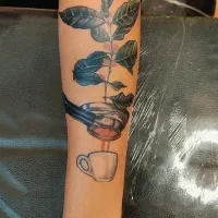 انجام خدمات حرفه ای تتو|خدمات آرایشگری و زیبایی|برازجان, |دیوار