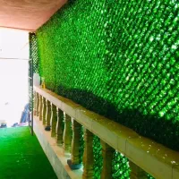 اجرای دیوار سبز حرفه ای در رستوران ها کلینیک ها|گل مصنوعی|اصفهان, خواجو|دیوار