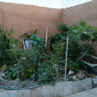 منزل ویلایی جمال آباد کرونی|اجارهٔ خانه و ویلا|شیراز, جمال آباد|دیوار