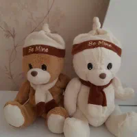 خرس ولنتاین