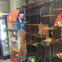 اجاره-مغازه-33-متری-برخیابان-اصلی