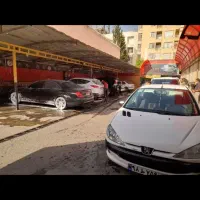 کارگر کارواشکار ماهر