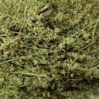 یونجه هزار و پانصد بند