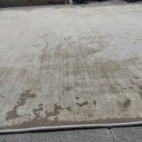 فرش قالی سلیمان|فرش|گنبد کاووس, |دیوار