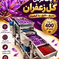 پاک کردن گل زعفران با دستگاه تمام اتوماتیک