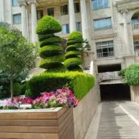 سمپاشی باغبانی طراحی اجرای فضای سبز به صورت تخصصی