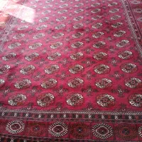 قالی ترکمنی اصیل دست باف|فرش|گنبد کاووس, |دیوار