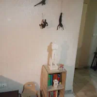 رهن-و-اجاره-فوری