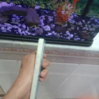 قاب نونو a32   4gاستفاده نشده|لوازم جانبی موبایل و تبلت|الوند, |دیوار