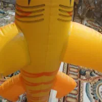 کوسه ی بادی بزرگ و نو در جابر انصاری فقط ۷۰۰ تومن